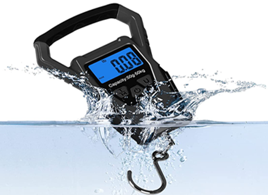 Best Waterproof Fishing Electronic Scale for Fishing Products